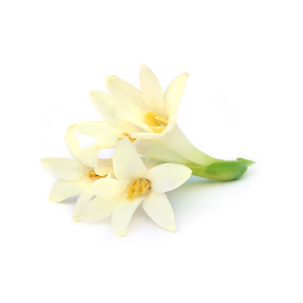 Tuberose - Wearable Aromatherapy