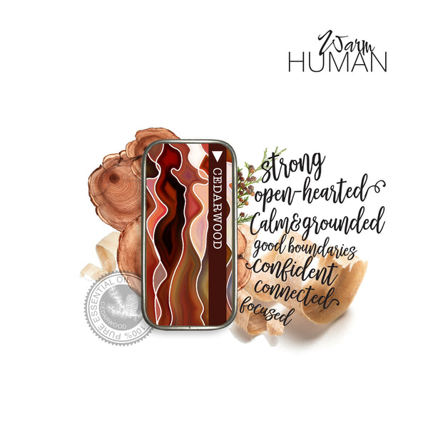 WARM HUMAN - The Strength + Kindness Collection